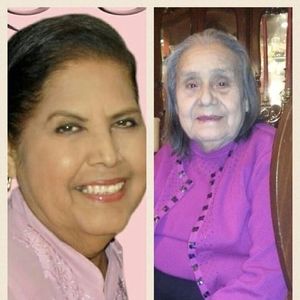 Meet your Posher, Bella